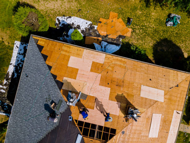 Best Roof Gutter Cleaning  in Whitmire, SC